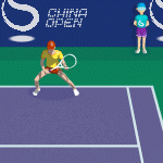 Play Tennis